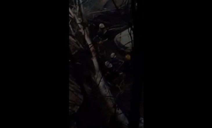 Tri vetura dëmtohen nga rrëzimi i lisit në Ulpianë – zjarrfikësit ndërmarrin masat