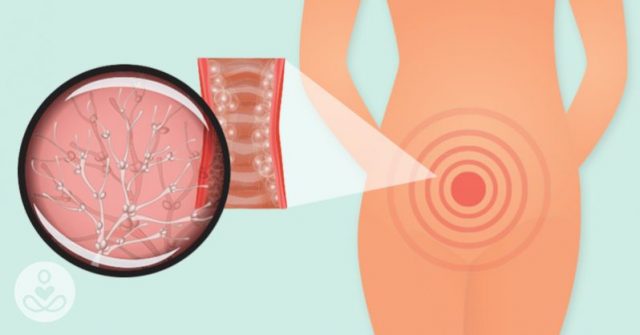 Vaginaning ichki qismini korsatadigan fotosuratlar