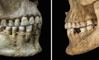 Ushqimi i paraardhësve ndikoi në mënyrën e sotme e të folurit