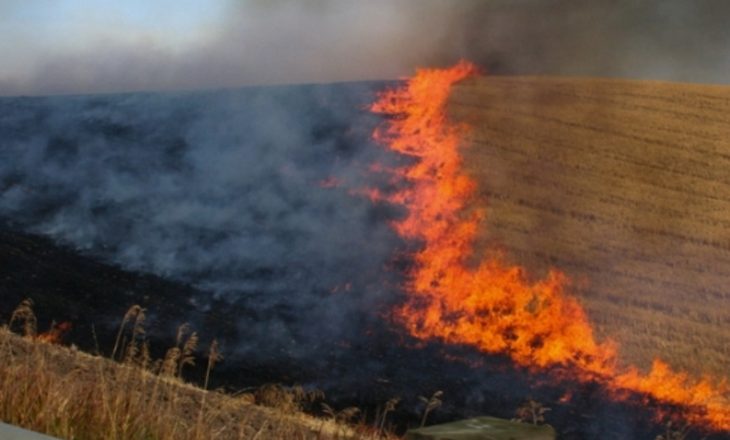 Tash e tre ditë zjarrfikësit në Ferizaj në luftë me zjarrin në male