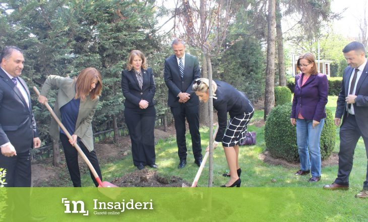 Deputetët “e gjelbër” mbollën fidan në oborrin e Kuvendit