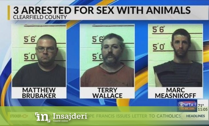 Tre burra dënohen me 41 vjet burgim pasi bënë seks me kuaj, lopë, dhi dhe qenë