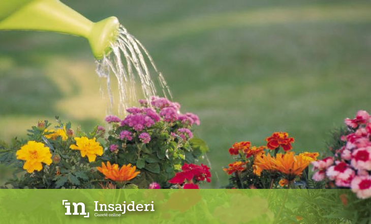 Ujitja e luleve me ujë të gazuar, është më e shëndetshme