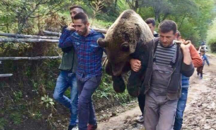 Mbytet ariu në Shqipëri