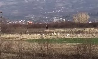 “Hej Zot na ruaj!” I riu shqiptar filmon të moshuarën duke bërë “magji”