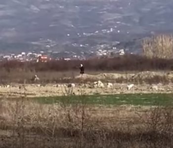 “Hej Zot na ruaj!” I riu shqiptar filmon të moshuarën duke bërë “magji”