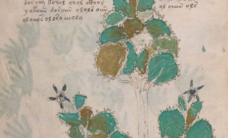 Për 600 vjet i fshehur, deshifrohet teksti më misterioz në botë