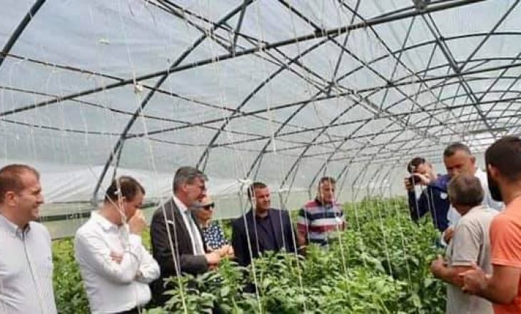 Investimet e MBPZhR-së po rrisin prodhimtarinë bujqësore