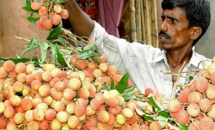 Fruti ekzotik i ka shpallur “lufte” Indisë, shkon në 100 numri i viktimave