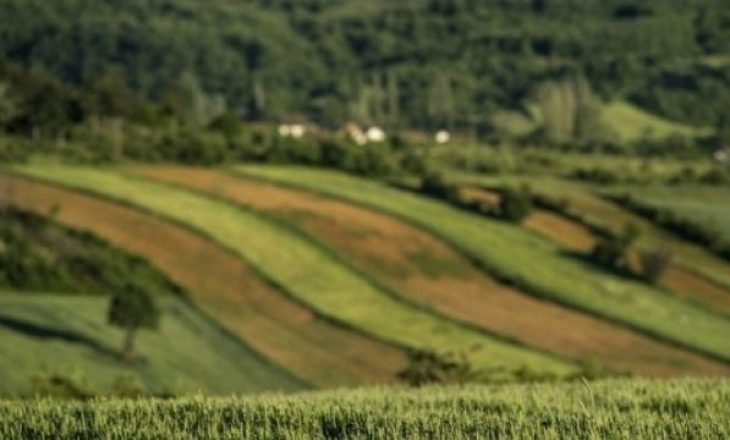 Zgjatet deri më 12 korrik afati për aplikim për pagesa direkte dhe grante investive