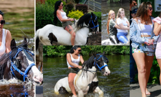 Nis festivali i kuajve në Evropë