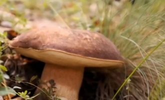 Ruajtja dhe promovimi i traditës shqiptare të ushqimit