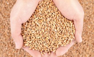 A do të shkaktojë pandemia e koronavirusit një valë të nacionalizmit ushqimor?