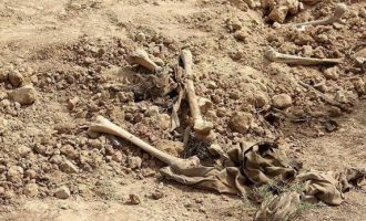 Gjenden mbetje mortore në Gjilan