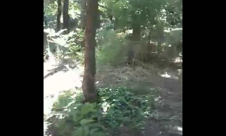Parku i Dragodanit në Prishtinë në gjendje të mjerueshme