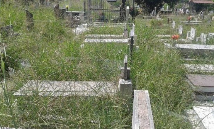 Sheh gjallë në ëndërr djalin 26-vjeçar, nëna shkon në varreza dhe…