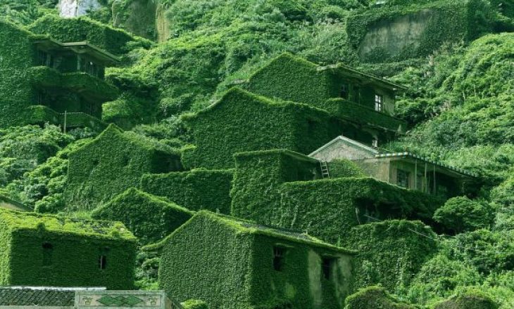 Pamje përrallore të fshatit kinez, i cili u mbulua i tëri në gjelbërim