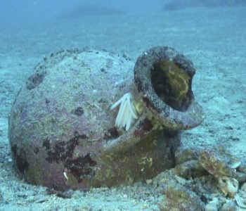 “New York Times” për pasuritë nënujore shqiptare: Zbulohen 22 amfora antike