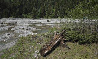 Formohet komisioni hetimor për hidrocentralet