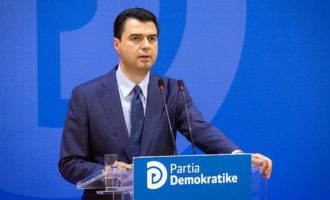 Zgjedhjet në PD: Votuan 54.7% e demokratëve, kryeson Basha