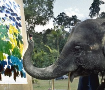 Elefantët piktorë, veprat e tyre nga 200-1300 paund