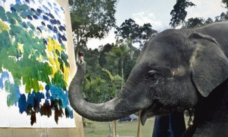 Elefantët piktorë, veprat e tyre nga 200-1300 paund