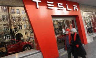 Gjykata gjermane ndalon ndërtimin e fabrikës Tesla për shkak se rrezikon kafshët
