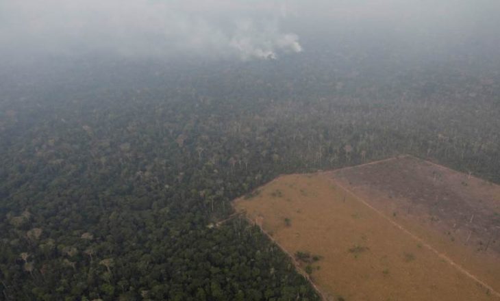 Bolsonaro ka ndaluar djegien e pyjeve për shkak të hapësirave bujqësore