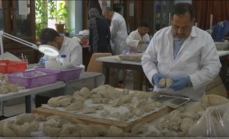 Muzeu i Kabulit restauron artin e shkatërruar nga talibanët