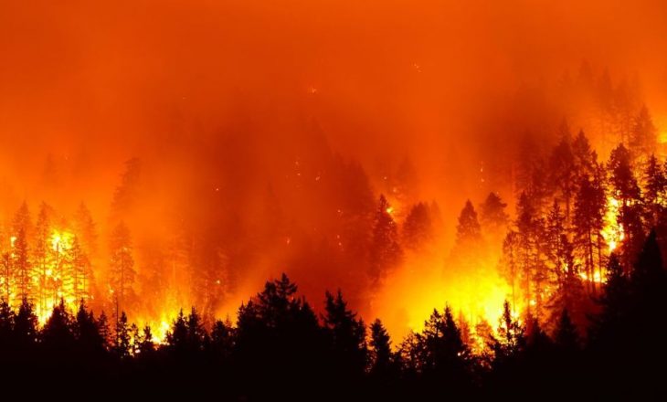 A po rrezikohet shëndeti i Tokës prej zjarreve me përmasa apokaliptike