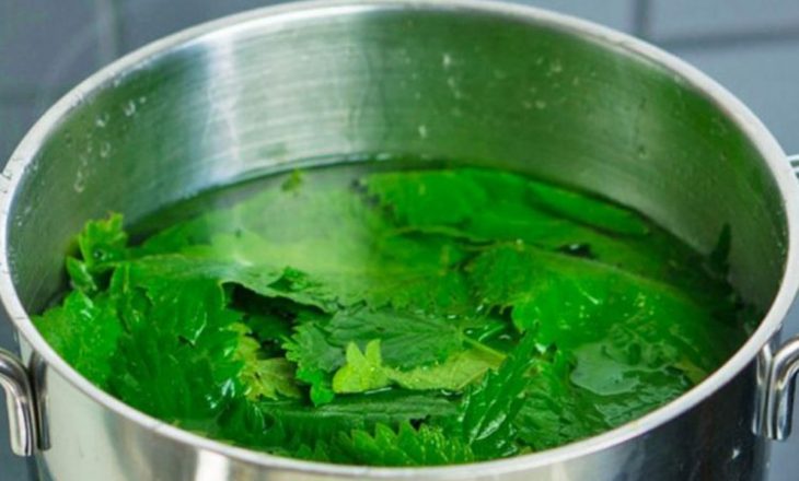 Kura e saktë me lëng hithre për tiroiden, si ta përgatisni dhe përdorni