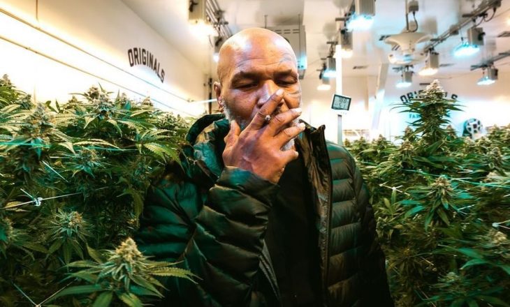 Tyson: Konsumoj 40.000$ marihuanë në muaj, ja sa fitoj nga ferma ime