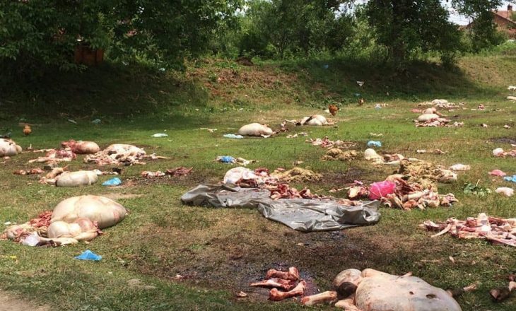 “Masakra e kurbanëve”, reagon Drejtori i Urbanizmit: Harrojeni sevapin