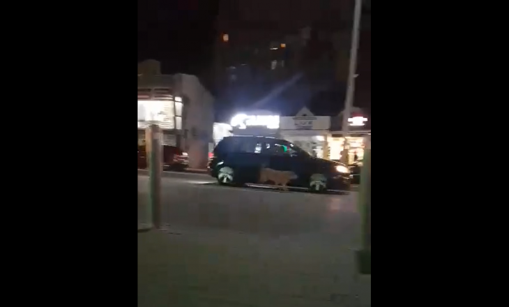 Qentë u vërsulen veturave në Prishtinë [VIDEO]