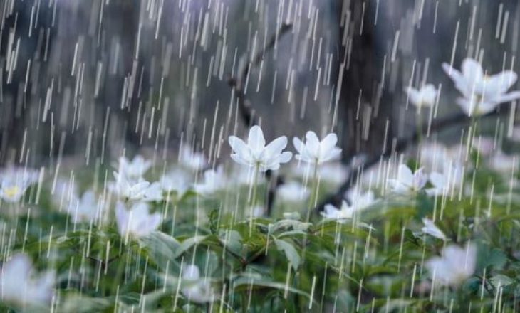Shiu e rrufetë po vijnë – ky është moti për ditët në vijim