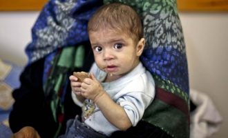 Sot shënohet Dita Botërore Humanitare