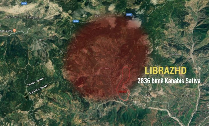 Del raporti sekret për kanabisin, qytetet e përfshirë në listën e ‘zezë’