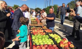 Nis festivali “Festari” në Suharekë