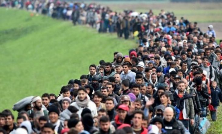 Rriten për 26% kërkesat për azil në BE