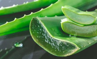 4 përfitime të mahnitshme të Aloe Vera për Flokët