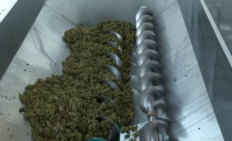 Vreshtarët: Asnjë kilogram rrush nuk është shitur në Shqipëri e Mal të Zi