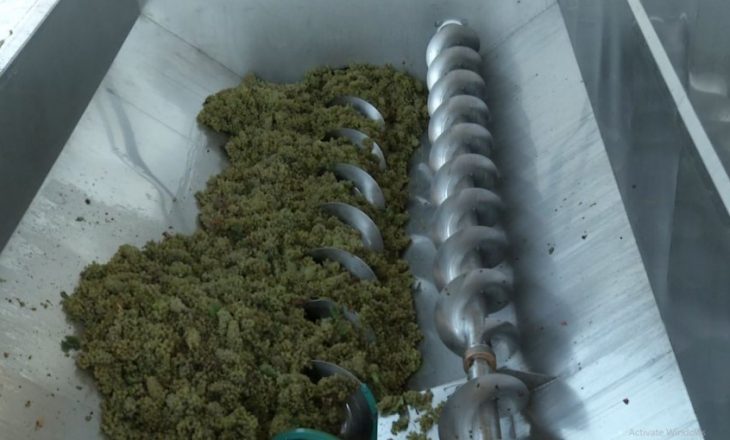 Vreshtarët: Asnjë kilogram rrush nuk është shitur në Shqipëri e Mal të Zi