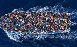 OKB: Numri i emigrantëve në mbarë botën arrin në 272 milionë persona