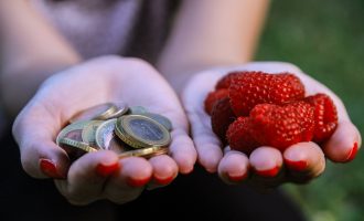 Agjencia për Zhvillimin e Bujqësisë merr masa ndaj përfituesve që nuk zbatuan kontratën
