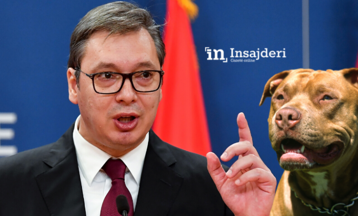 Vuçiq thotë se do të angazhohem si një Pitbull për zbardhjen e zarfeve të ardhur nga Serbia