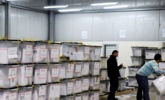 Refuzohen mbi 6 mijë vota të diasporës