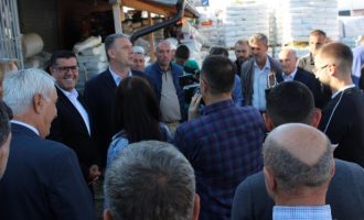 Gjilani shpërndan farë gruri për 940 fermerë