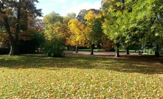 Moti sot në Kosovë