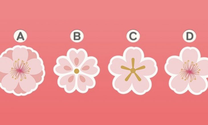 Zgjidhni një lule qershie dhe mësoni diçka interesante për veten tuaj