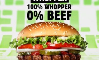 Burger King ® prezanton Rebel Whopper ®: 100% Whopper ®, 0% mish